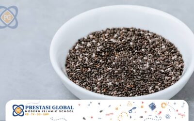 Chia Seed: Manfaat dan Kegunaannya untuk Otak Anak